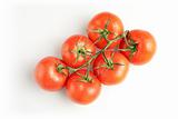 Six tomatos on white