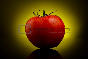 Fresh tomato on yellow