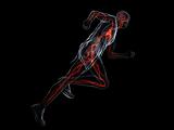 running - vascular system
