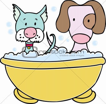 Dog and Cat Bath