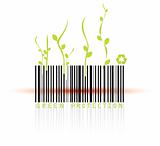 Barcode and red reader beam