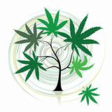 Cannabis tree