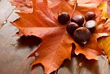 Autumn Leaves and Chestnuts