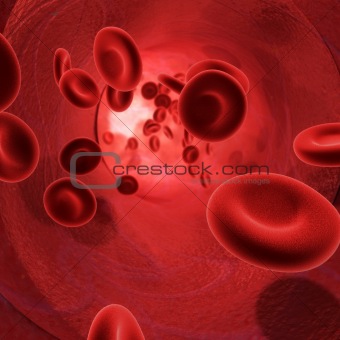 Blood(Red Globules)