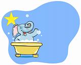 Elephant Bath Star