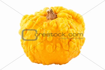 single pumpkin