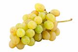 bunch of fresh white grapes