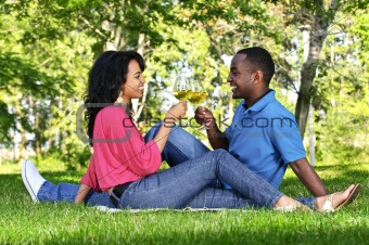 Happy couple having wine in park