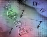 Clock and DNA