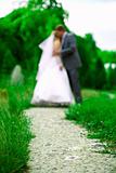 Wedding kiss on a path in summer