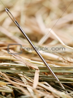 Needle is in a haystack
