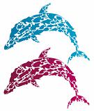 creative dolphin