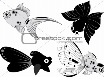 creative fish