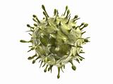 h1n1 virus