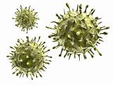 h1n1 viruses