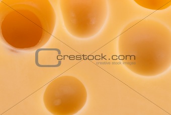 Piece of tasty cheese