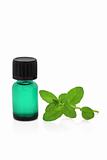 Peppermint Herb Leaf and Essence