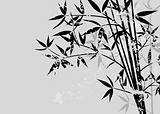Bamboo grunge background, vector