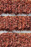 Bundles of dried red cayenne hot pepper vertical