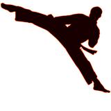 Martial arts.High jump Van Damm.