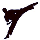 Martial arts.High jump Van Damm.