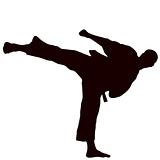 Martial arts - karate kick. Yoko gery.