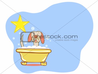 Dog Bath Star - Labrador