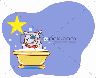 Dog Bath Star - Bulldog