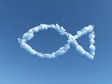 cloudy fish symbol