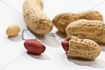  peanut
