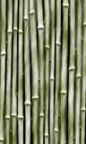 light green bamboo