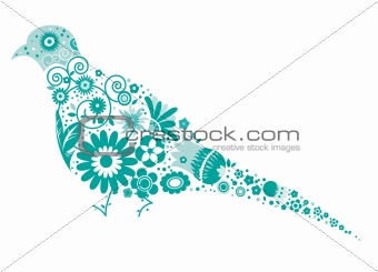 floral pigeon