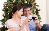Wife and husband drinking wine at homa at Christmas time
