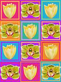 Orchid and Tulip Flower Pattern