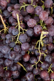 uzum:grapes,bunch, clluster, clusters, fruit, crop,