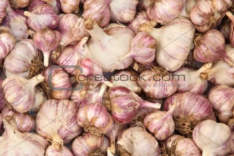 Heap of garlic