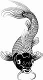 Kohaku koi carp fish illustration