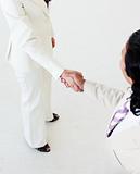 Close-up of business people shaking hands 
