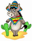 Mexican donkey with cactuses