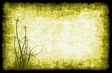 Yellow Grunge Background Floral