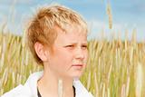Portrait of a young boy in cornfield
