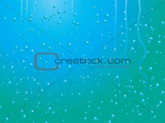 raindrop on a window