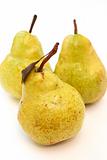 Three green pears on a white background