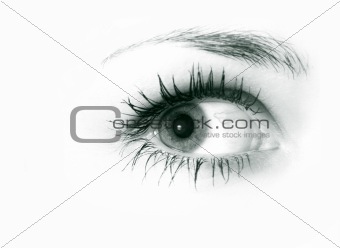 Female eye
