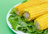 corn and lettuce