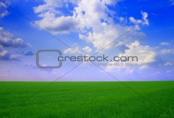 field  landscape
