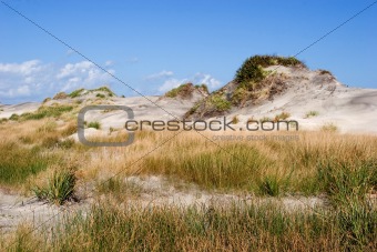 Dunes of Hatteras