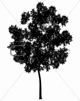 Generic tree