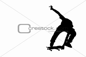 The Skateboard Rider