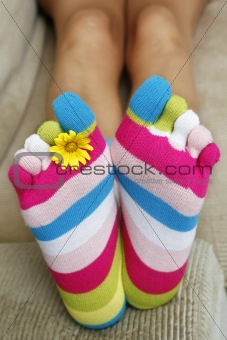 Bright Socks